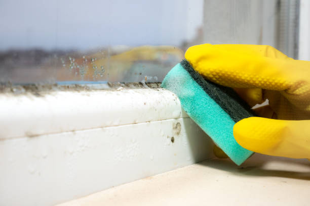 Best Mold Cleaning Services  in Stowell, TX